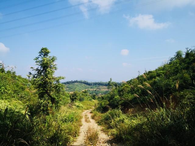 逃离城市计划：凤凰山全攻略，小白也能秒变户外徒步达人！