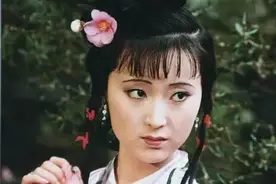 《红楼梦》中的各种谐音隐义图片