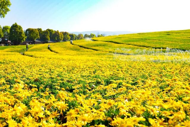 弥勒太平湖，免门票！