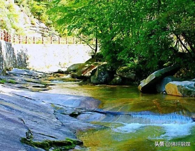 清明不想挤人海？来佛坪邂逅金丝猴、漫步金色花海→