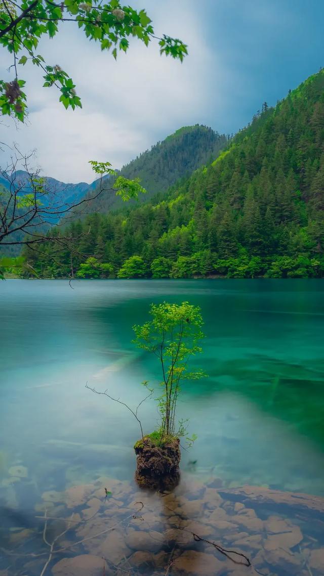 45张九寨沟最美风景手机壁纸