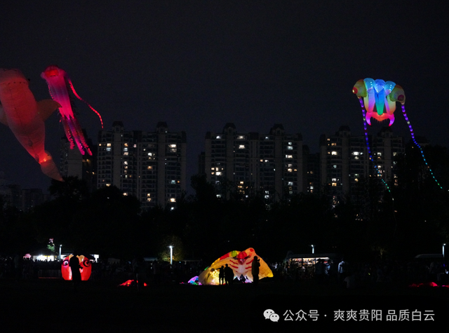【爽游白云】“夜光绘星空·筝舞耀泉湖”——2025爽爽贵阳避暑季·白云泉湖公园夜光风筝放飞活动圆满落幕