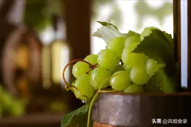 全国哪些“葡萄”最好吃？果农评选这10种上榜，你最爱吃哪几种？图片