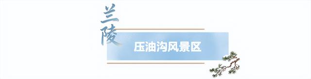 临沂人游临沂｜赶兰陵千年大集，赴一场烟火与诗意的约会