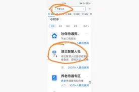 手把手教你怎么在手机上认证老年人养老金（湖北省）！图片