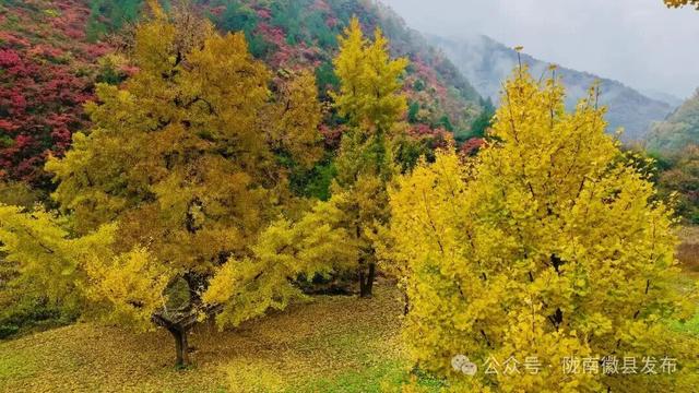 嘉陵江畔，静观一季秋色流转
