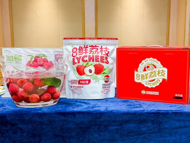 赴一场温泉之约！从化文旅推介会携福利亮相佛山