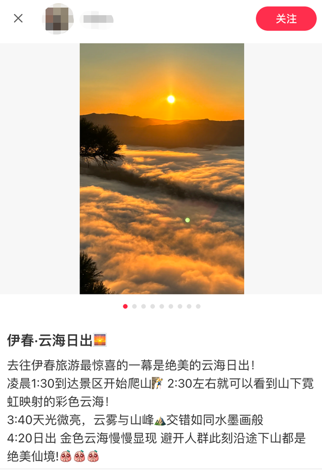 有多少年轻人自驾到伊春后被鹿揍过