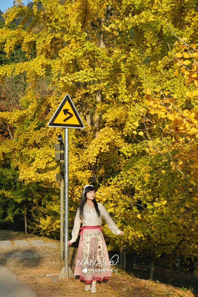 漫游韶关，赴一场山水间的秋日之约