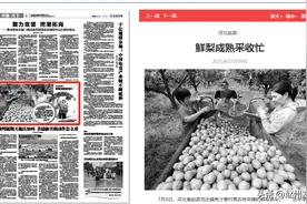 【党媒聚焦】河北赵县：鲜梨成熟采收忙图片