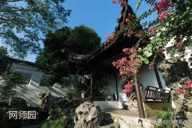 谁说夏天没花看？苏州园林偷偷美翻了！