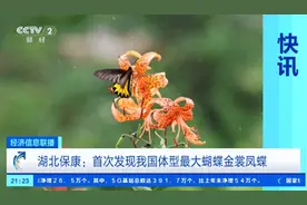 我国最大，首次发现！图片