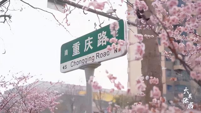 好多人在拍！快来打卡淄博这些“花海大道”~