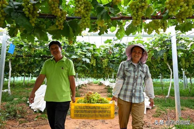 “农文旅”融合“串”起诗意与烟火