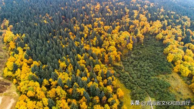 【秋日青海】假期邂逅乡趣卡阳，在云雾与秋色中共舞