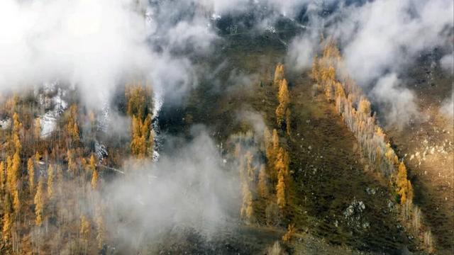 云雾缭绕 喀纳斯驼颈湾