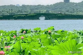 游杭州西湖就住这里，与西湖美景无缝对接图片