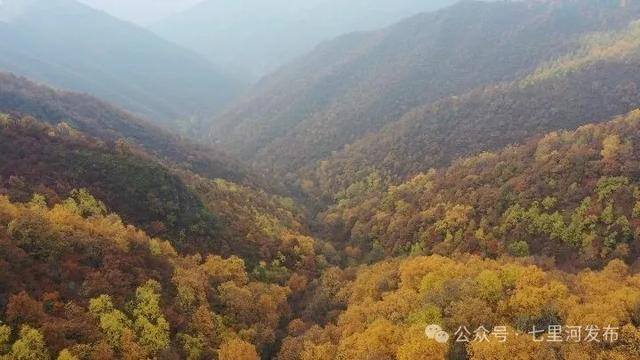 在七里河,和秋天撞了个满怀