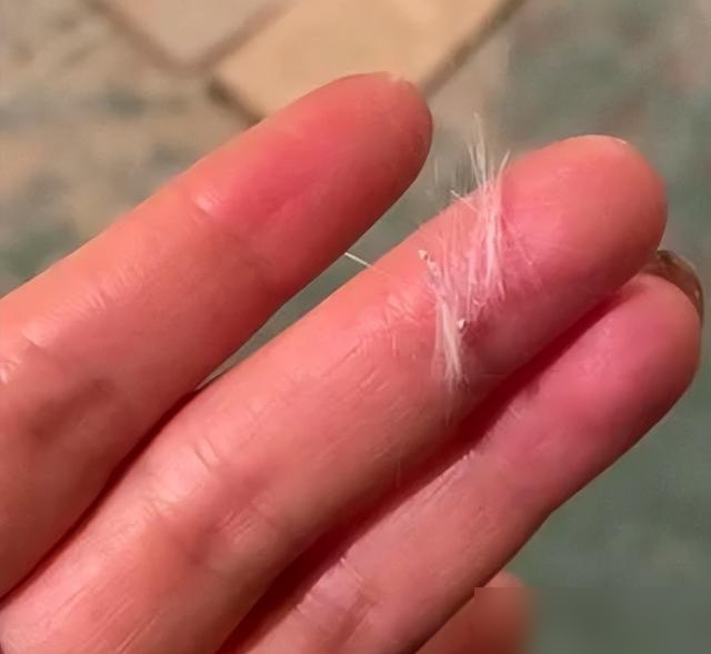 厨房里这种“揉面垫”有玻璃纤维，坑了不少老百姓，你家有吗？