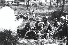 经典武器回眸之“为我所用”小钢炮图片