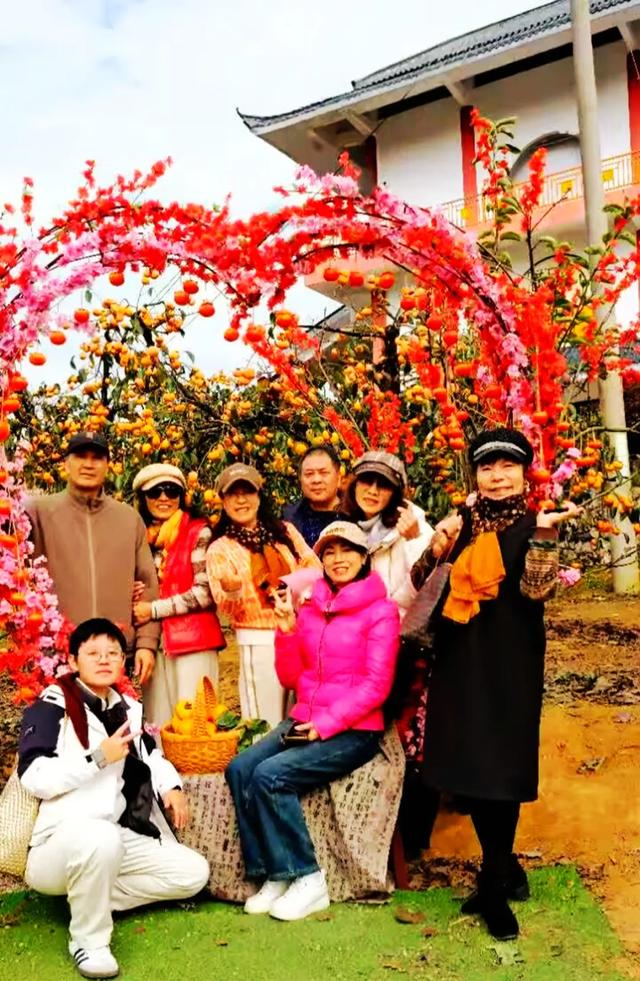 桂林：不入柿园，怎知秋色几许！