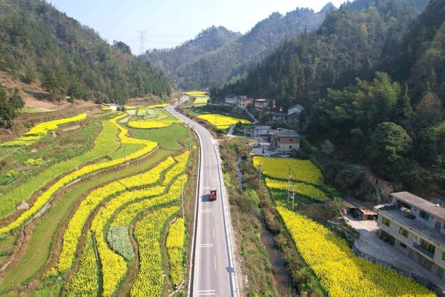 2026清明3天小长假全攻略：祭扫寄思+踏青寻春，错峰不挤超省心