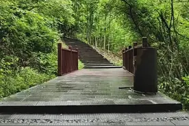 成都西岭雪山徒步，风景超级美不要门票，直通车很便捷！图片