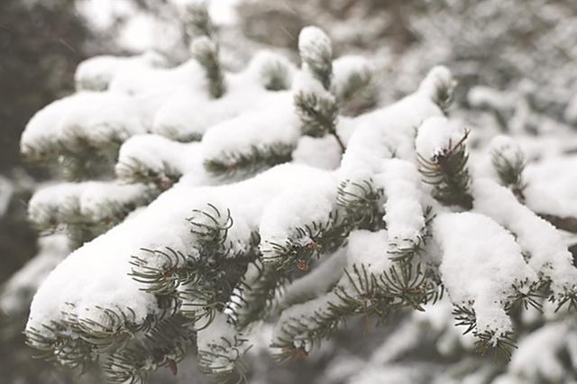 漠河下雪了