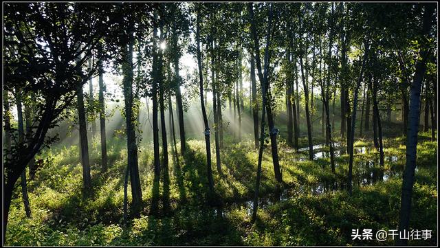一个人骑车的早晨，才是成年人最顶级的放松方式，比躺平爽10倍！