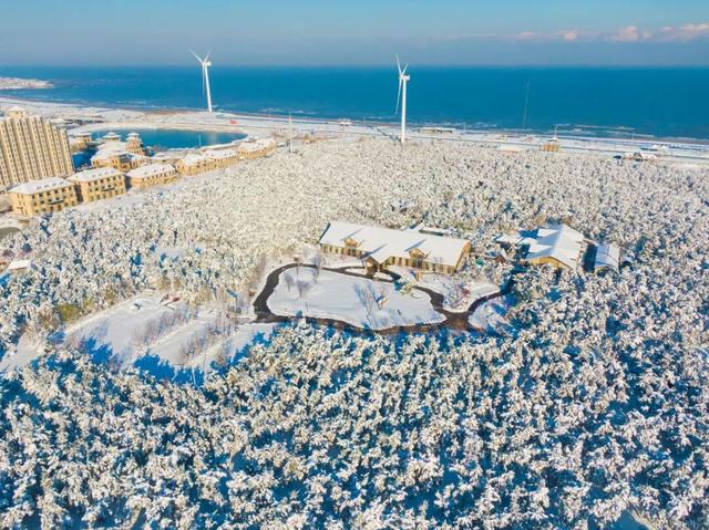 天鹅畅游圈剧透：五部恋歌，首篇「天鹅絮语」上线！