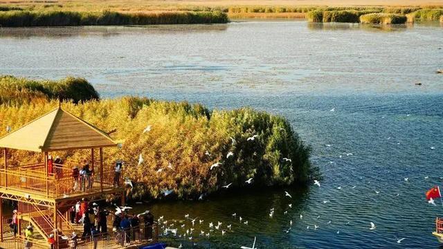 邢强 | 秋游南疆