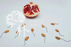 精子传奇：他是天生的物理学家图片