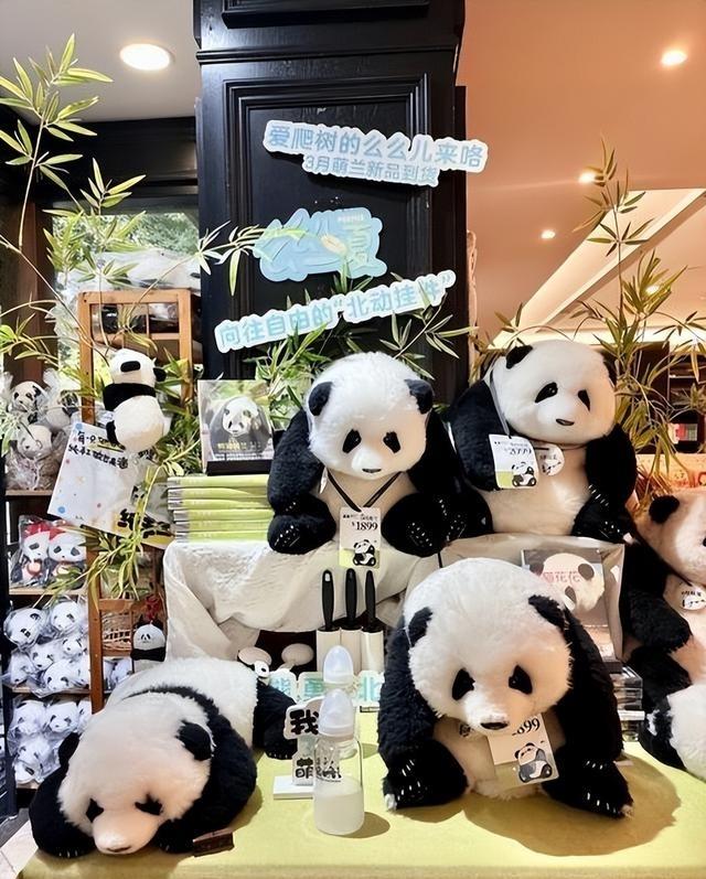 没有回旋余地，中国下令直接收回，17万日本人泪奔，高市闯祸了！