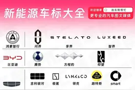 新能源汽车品牌大全和现状，再忙也要看看，别再傻傻分不清了！图片