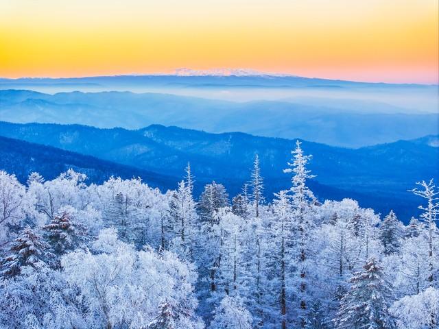 国内七大区域“第一景”分别是这7个，华东是黄山，西南是九寨沟