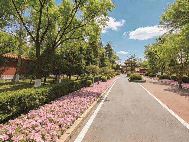 一园一景一花事花漾 银川这份赏花月历让你从春“美”到秋