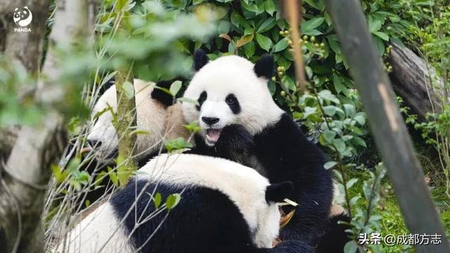 首个秋假怎么耍？这些地方必打卡→