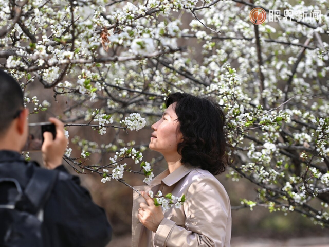 被乌鲁木齐的春天治愈了，花开满城→