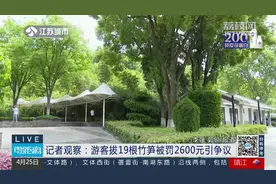 律师解读游客拔竹笋被罚2600元 挖笋看似不文明实则可能违法图片