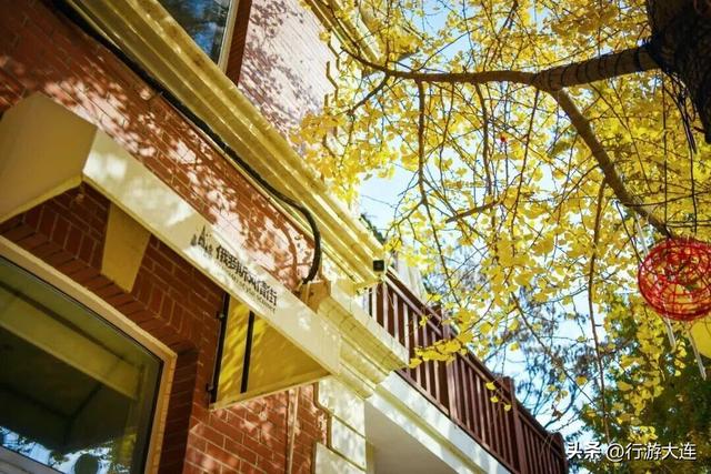 落叶缓扫～24处叶景打卡地延长“营业”时间