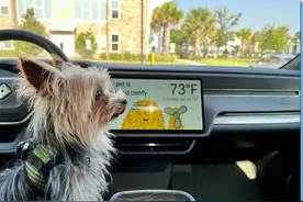 张雪峰给年轻人的“就业路”，一年吸金5000亿图片