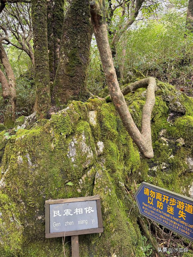北京自驾长江三峡、神农架之旅（6）