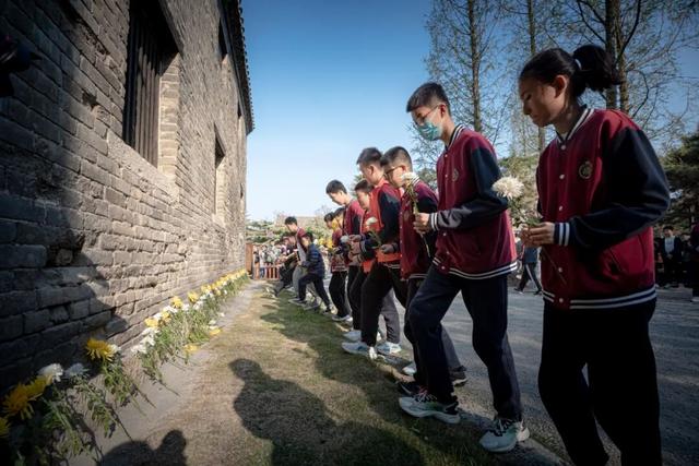 踏春游古城，研学好时光！一起来台儿庄古城探索文化盛宴！