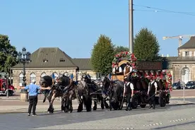 土耳其人是如何吃空德国福利的？图片