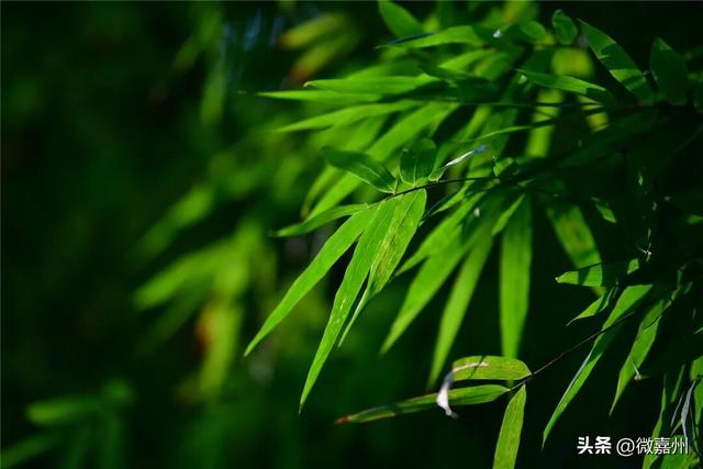 给生活充充电，与大佛共赏一山秋色