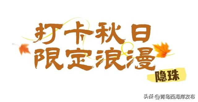 走不出这画了，我已被西海岸的秋景迷倒 🥹