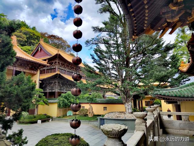 东林大佛&东林寺,在大佛脚下休憩