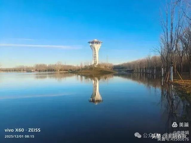 初冬北京朝阳坝河金盏淀:清寒里的静美画卷|申艳娟