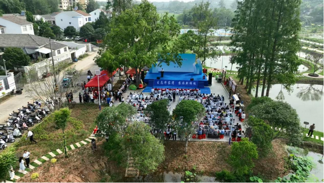 钟祥毕家湾：民宿经济盘活了城市边的小乡村