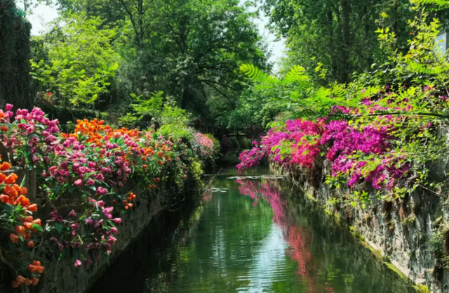 临沂人游临沂 | 一大波景区优惠福利来了